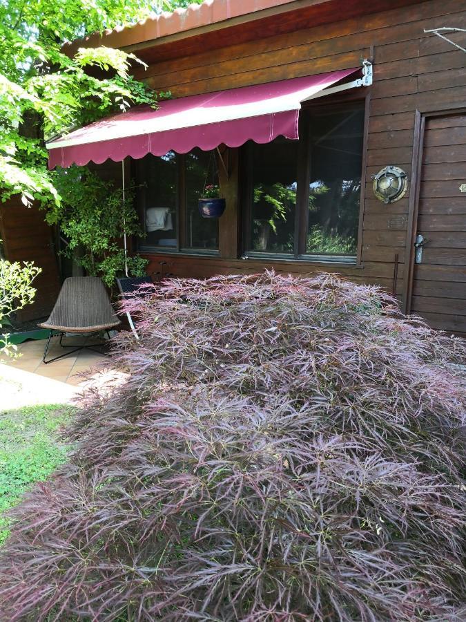 Studio With Free Parking Nice Terrace Free Wifi Connection Ginevra Esterno foto
